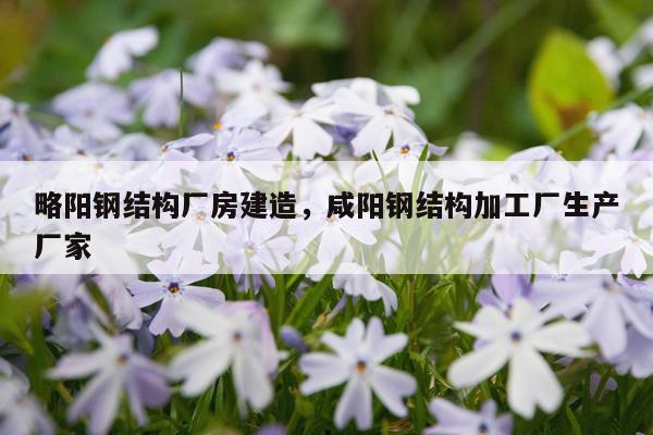略阳钢结构厂房建造，咸阳钢结构加工厂生产厂家