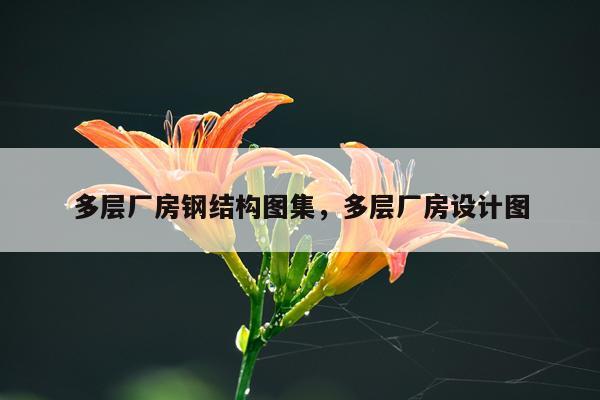 多层厂房钢结构图集，多层厂房设计图