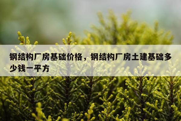 钢结构厂房基础价格，钢结构厂房土建基础多少钱一平方