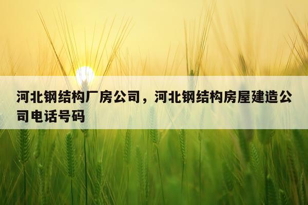 河北钢结构厂房公司，河北钢结构房屋建造公司电话号码