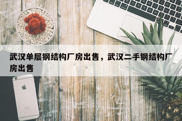 武汉单层钢结构厂房出售，武汉二手钢结构厂房出售