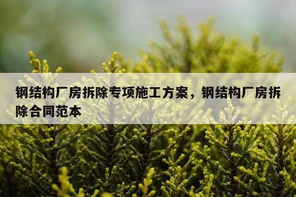 钢结构厂房拆除专项施工方案，钢结构厂房拆除合同范本