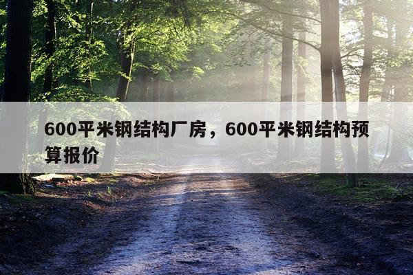 600平米钢结构厂房，600平米钢结构预算报价