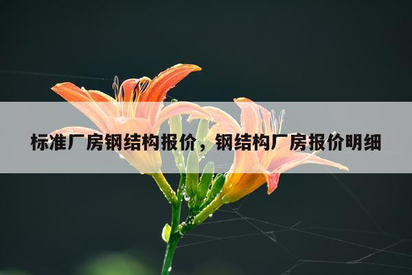 标准厂房钢结构报价，钢结构厂房报价明细