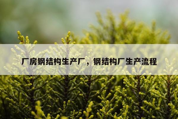 厂房钢结构生产厂，钢结构厂生产流程