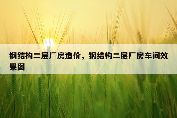 钢结构二层厂房造价，钢结构二层厂房车间效果图