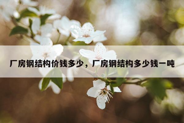 厂房钢结构价钱多少，厂房钢结构多少钱一吨