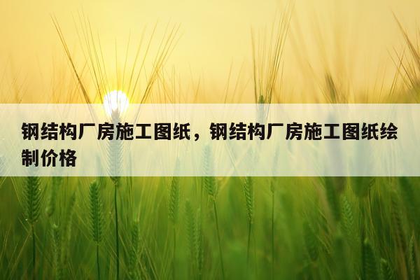 钢结构厂房施工图纸，钢结构厂房施工图纸绘制价格