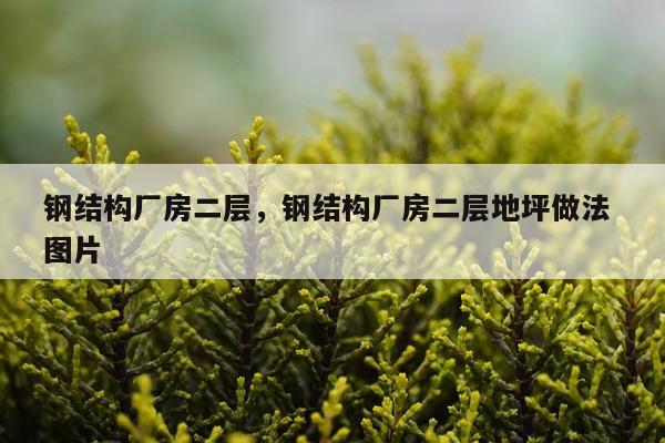 钢结构厂房二层，钢结构厂房二层地坪做法 图片