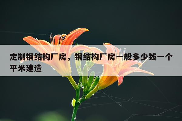 定制钢结构厂房，钢结构厂房一般多少钱一个平米建造