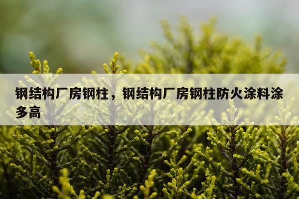 钢结构厂房钢柱，钢结构厂房钢柱防火涂料涂多高