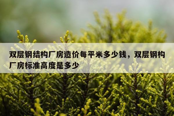 双层钢结构厂房造价每平米多少钱，双层钢构厂房标准高度是多少