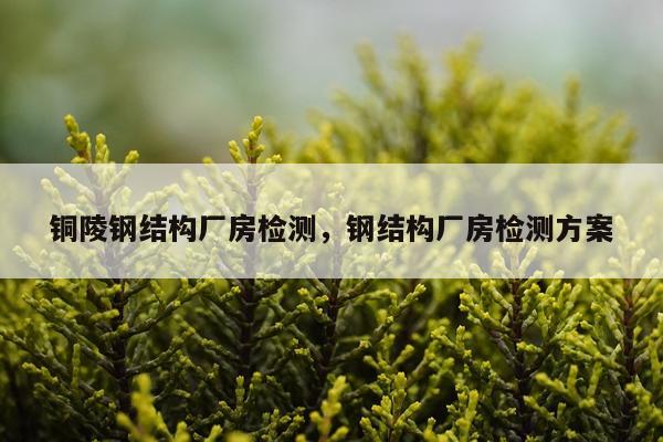 铜陵钢结构厂房检测，钢结构厂房检测方案