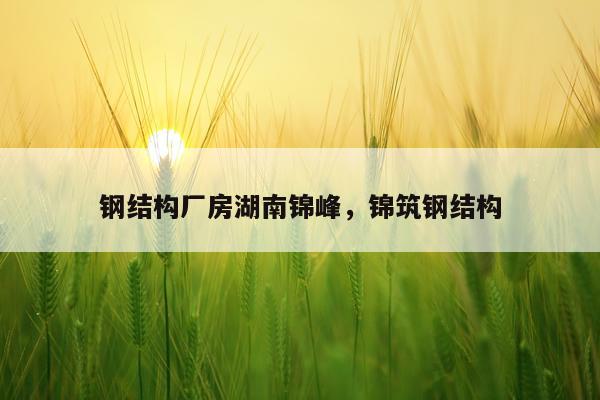 钢结构厂房湖南锦峰，锦筑钢结构