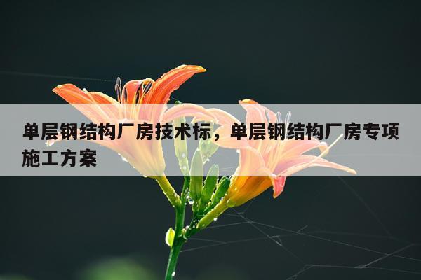 单层钢结构厂房技术标，单层钢结构厂房专项施工方案