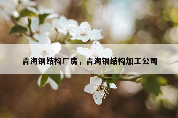 青海钢结构厂房，青海钢结构加工公司