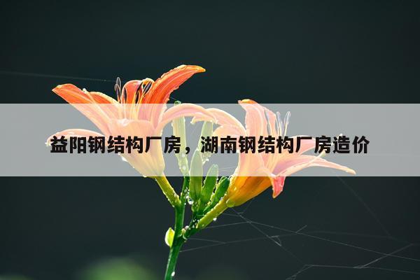 益阳钢结构厂房，湖南钢结构厂房造价