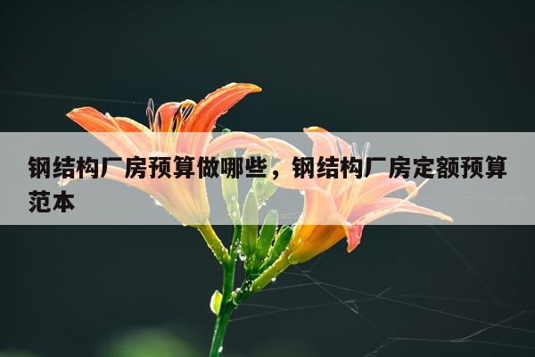 钢结构厂房预算做哪些，钢结构厂房定额预算范本