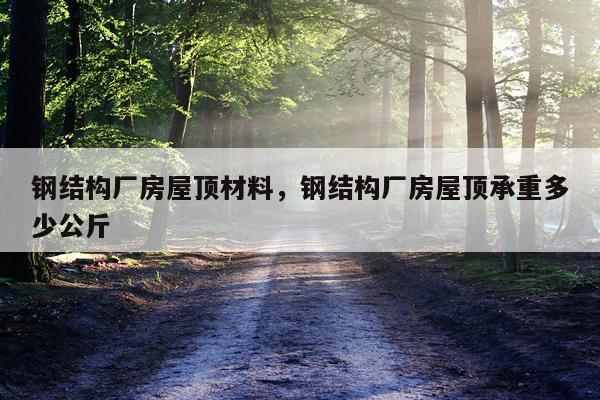 钢结构厂房屋顶材料，钢结构厂房屋顶承重多少公斤