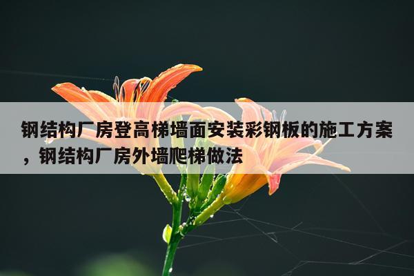 钢结构厂房登高梯墙面安装彩钢板的施工方案，钢结构厂房外墙爬梯做法