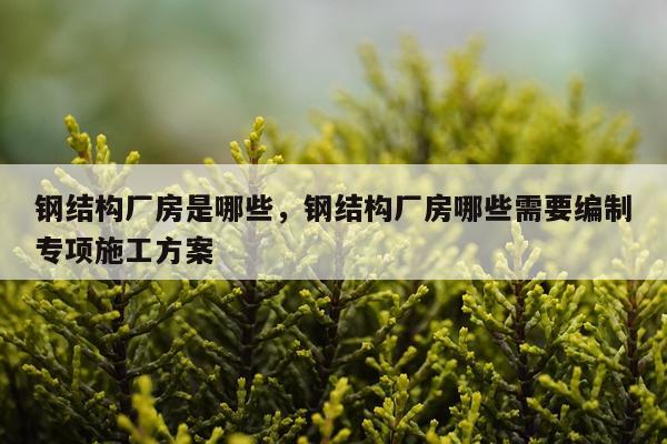 钢结构厂房是哪些，钢结构厂房哪些需要编制专项施工方案