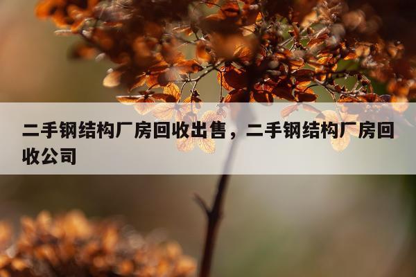 二手钢结构厂房回收出售，二手钢结构厂房回收公司