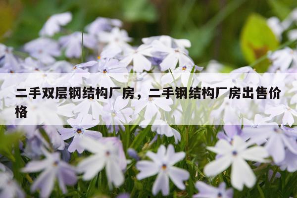 二手双层钢结构厂房，二手钢结构厂房出售价格