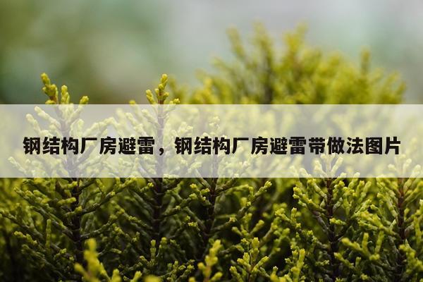 钢结构厂房避雷，钢结构厂房避雷带做法图片