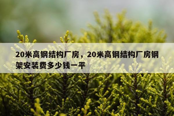 20米高钢结构厂房，20米高钢结构厂房钢架安装费多少钱一平