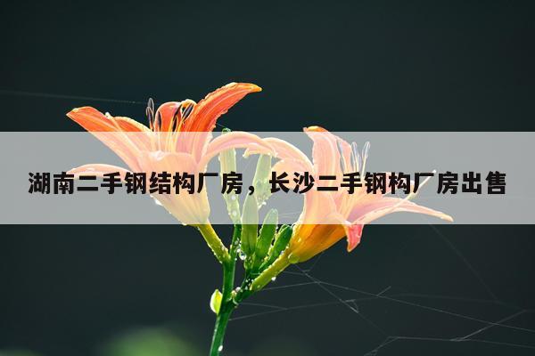 湖南二手钢结构厂房，长沙二手钢构厂房出售