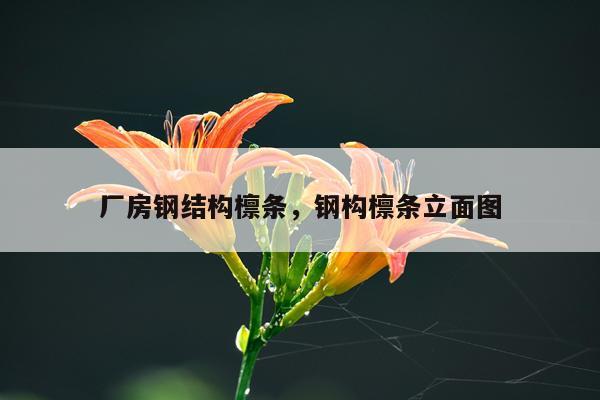厂房钢结构檩条，钢构檩条立面图