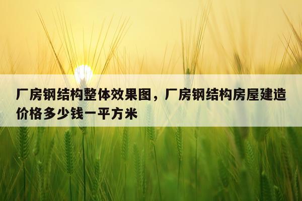 厂房钢结构整体效果图，厂房钢结构房屋建造价格多少钱一平方米