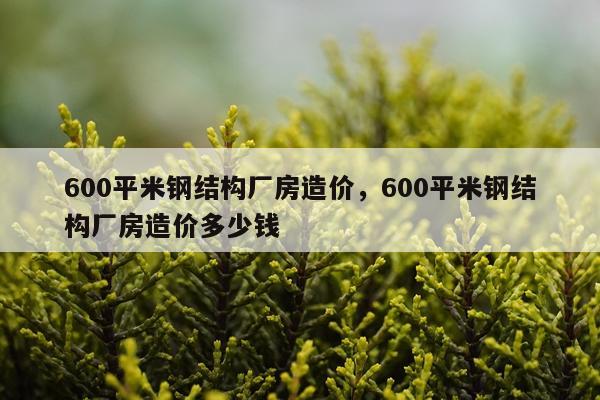 600平米钢结构厂房造价，600平米钢结构厂房造价多少钱