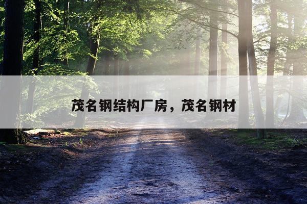 茂名钢结构厂房，茂名钢材