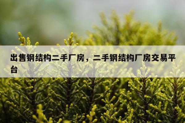 出售钢结构二手厂房，二手钢结构厂房交易平台