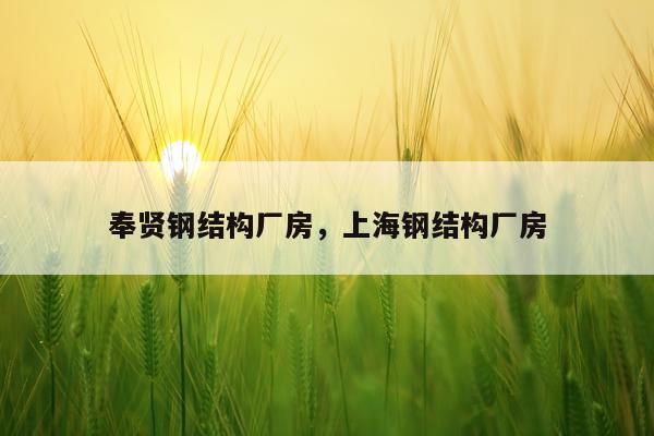 奉贤钢结构厂房，上海钢结构厂房