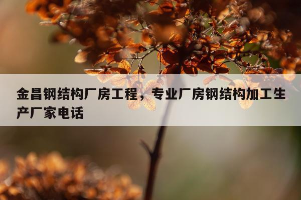 金昌钢结构厂房工程，专业厂房钢结构加工生产厂家电话