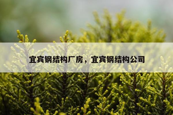 宜宾钢结构厂房，宜宾钢结构公司