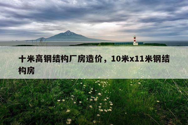 十米高钢结构厂房造价，10米x11米钢结构房