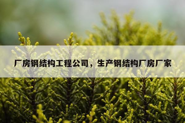 厂房钢结构工程公司，生产钢结构厂房厂家