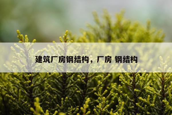 建筑厂房钢结构，厂房 钢结构