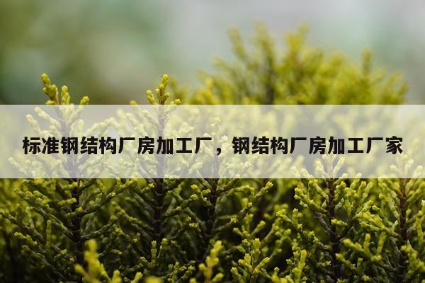 标准钢结构厂房加工厂，钢结构厂房加工厂家