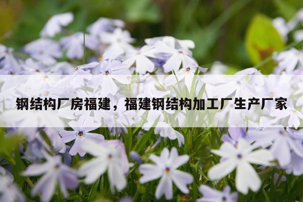钢结构厂房福建，福建钢结构加工厂生产厂家