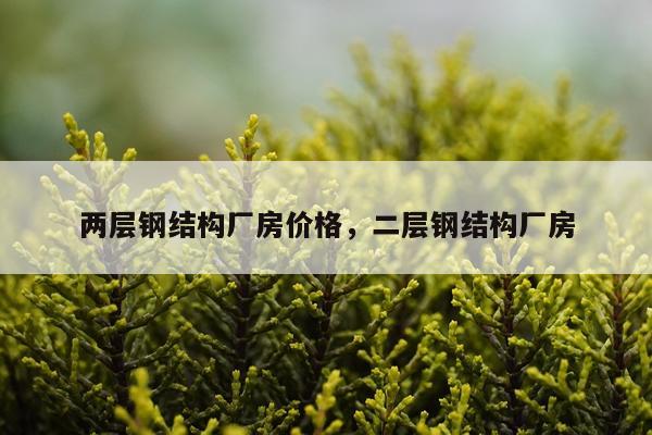 两层钢结构厂房价格，二层钢结构厂房