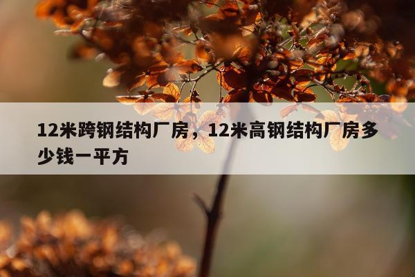 12米跨钢结构厂房，12米高钢结构厂房多少钱一平方