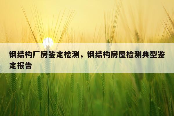 钢结构厂房鉴定检测，钢结构房屋检测典型鉴定报告