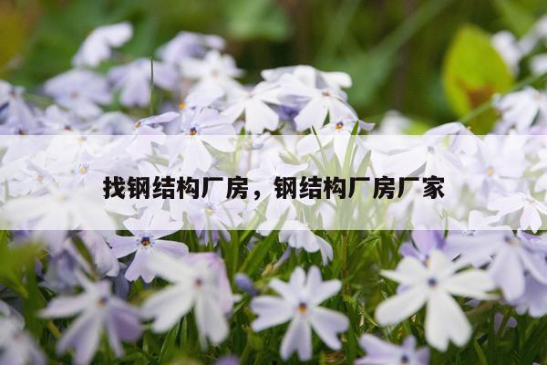 找钢结构厂房，钢结构厂房厂家