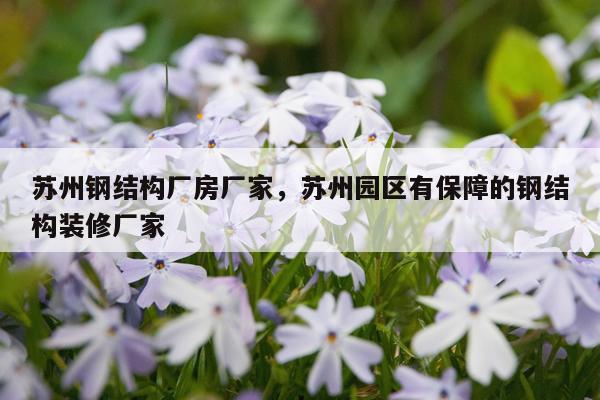 苏州钢结构厂房厂家，苏州园区有保障的钢结构装修厂家