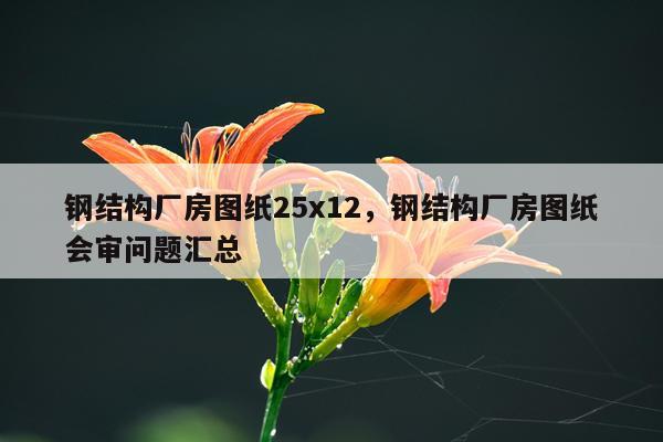 钢结构厂房图纸25x12，钢结构厂房图纸会审问题汇总