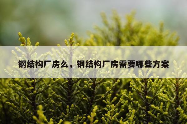 钢结构厂房么，钢结构厂房需要哪些方案